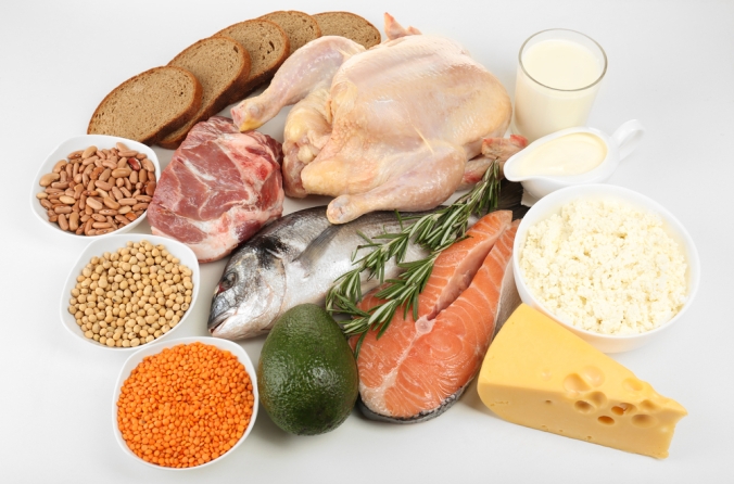 A range of protein sources