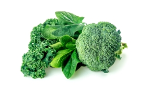 shutterstock_390376168 broccoli spinach kale Mar16