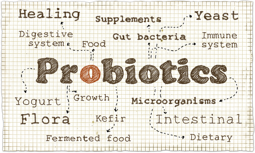 A word cloud around Probiotics