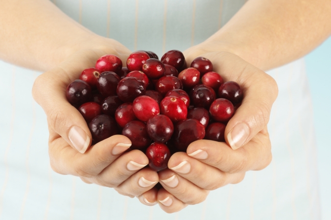 Close up of a woman's hands holding a pile of cranberries