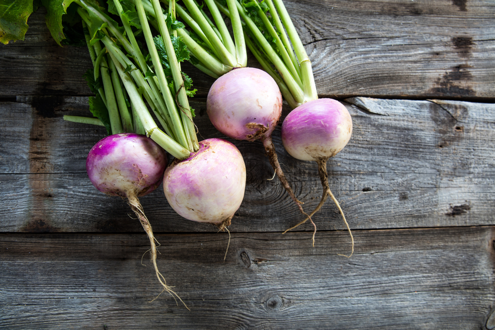 Rustic,Organic,Turnips,With,Fresh,Green,Tops,And,Roots,On