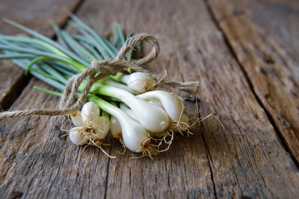 Pile,Of,Fresh,Spring,Onion,On,Wooden,Table