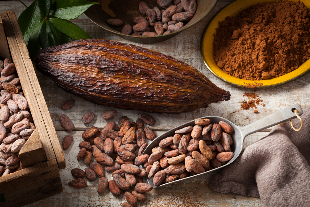 Cocoa,Beans,And,Cocoa,Pod,With,Cocoa,Powder,On,A